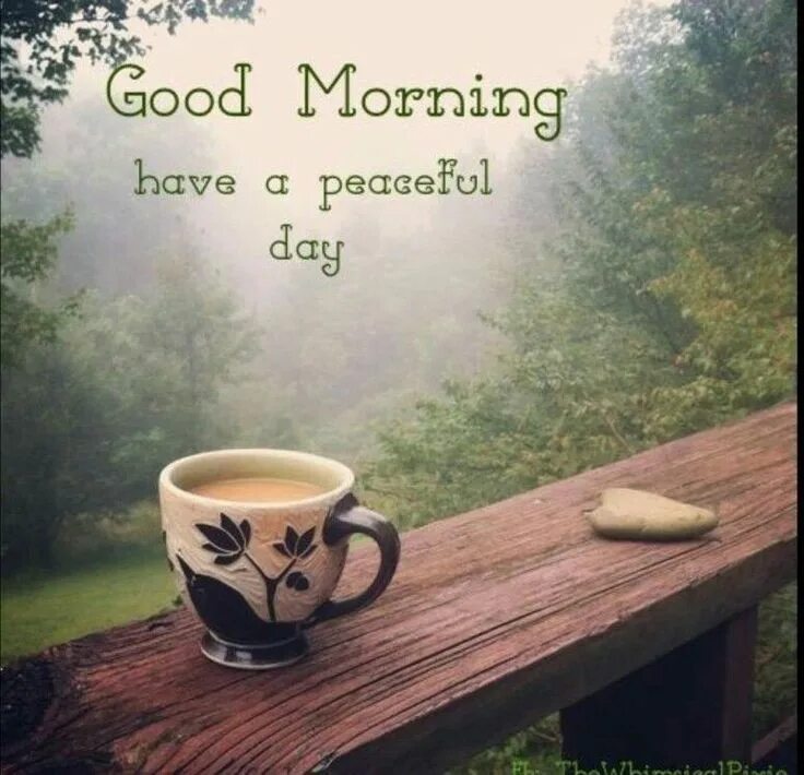 Картинки с добрым философские позитивные Pin by TISHA on Morning Good morning funny, Good morning my friend, Good morning