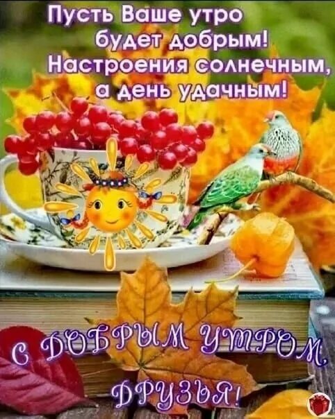 Картинки с добрым осенним утром для ватсап Открытка С добрым утром!