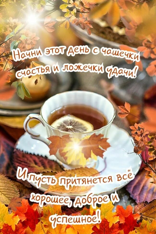 Картинки с добрым осенним утром для ватсап Pin on Доброе утро