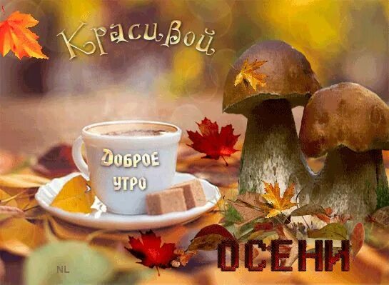 Картинки с добрым осенним утром для ватсап Осеннее утречко Herbst bilder, Herbstbilder, Herbst