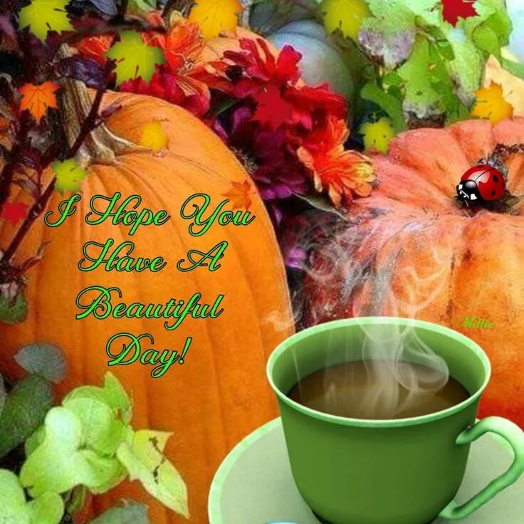 Картинки с добрым осенним утром позитивные новинки Pin on Fall & Thanksgiving Good morning greeting cards, Good morning picture, Go