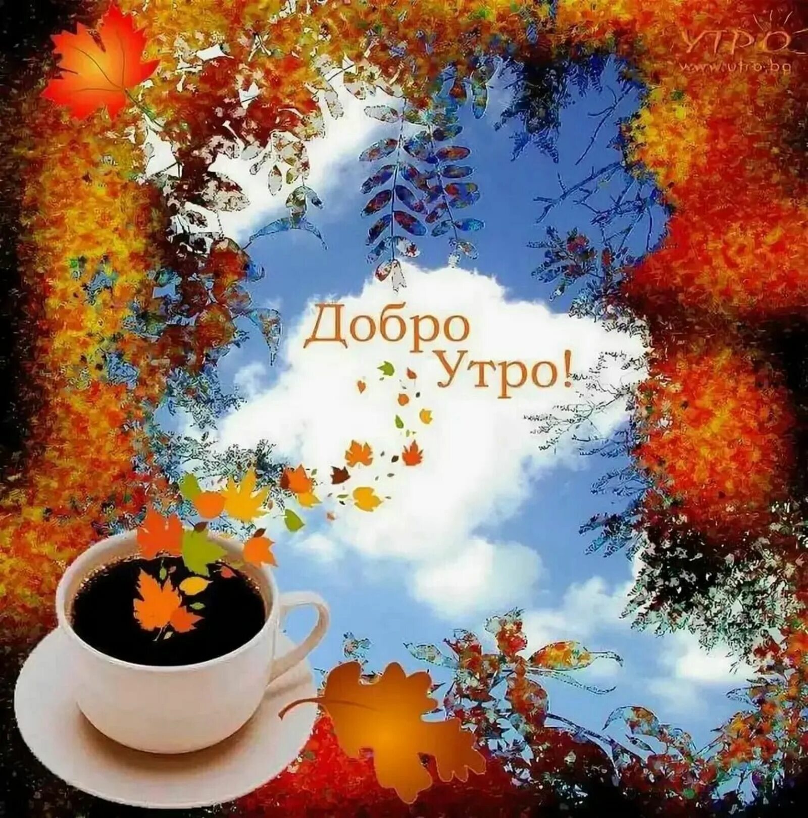 Картинки с добрым осенним утром позитивные новинки Доброе утро!