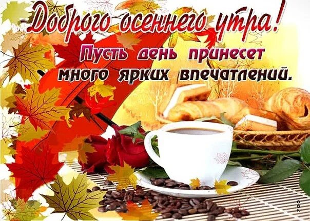 Картинки с добрым осенним утром позитивные новинки Доброе утро! Прекрасного осеннего дня и замечательного самочувствия! Улыбнитесь,