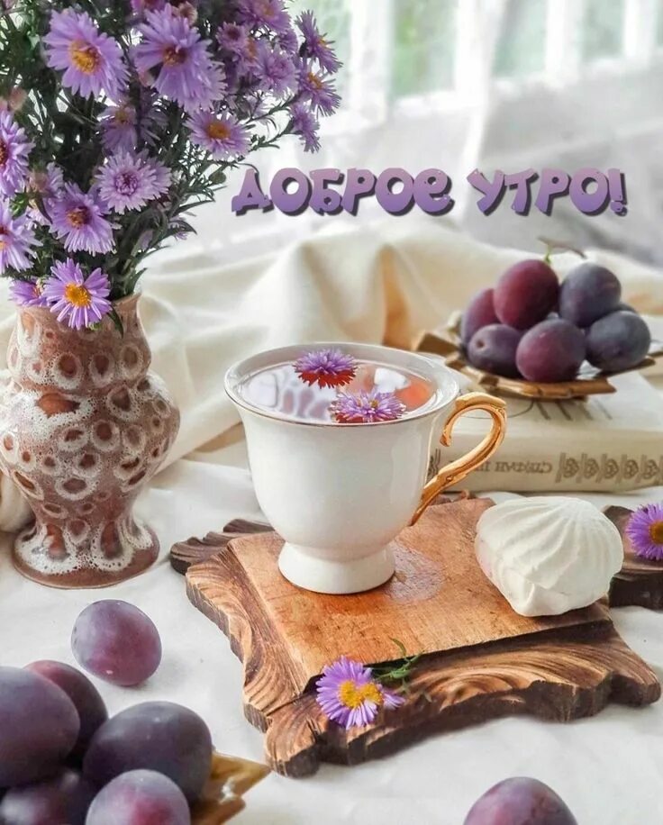 Картинки с добрым утром 2024 года Pin on Открытки-Лето V60 coffee, Coffee, Tea