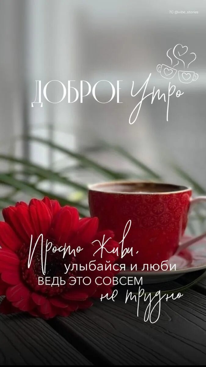 Картинки с добрым утром 2024 года Telegram канал @vibe_stories в 2023 г Доброе утро, Цитаты о любви для него, Люби