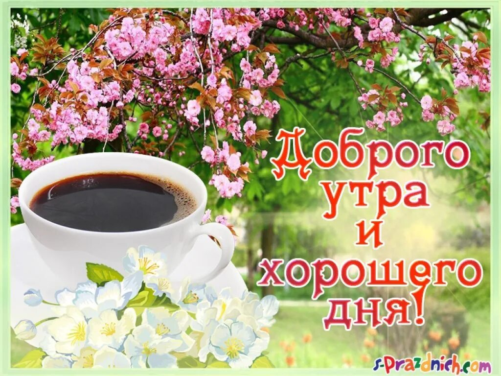 Картинки с добрым утром без пожеланий С добрым утром! Котлас