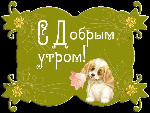 Картинки с добрым утром дочурка прикольные ДОБРОЕ УТРО! УДАЧНОГО ЧЕТВЕРГА! ПУСТЬ АРОМАТНЫЙ КОФЕ ПОДАРИТ ЗАРЯД БОДРОСТИ НА В