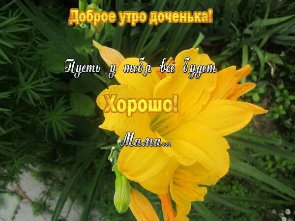 Картинки с добрым утром дочурка прикольные Доброе утро доченька ⋆ красивые картинки ⋆ скачать бесплатно