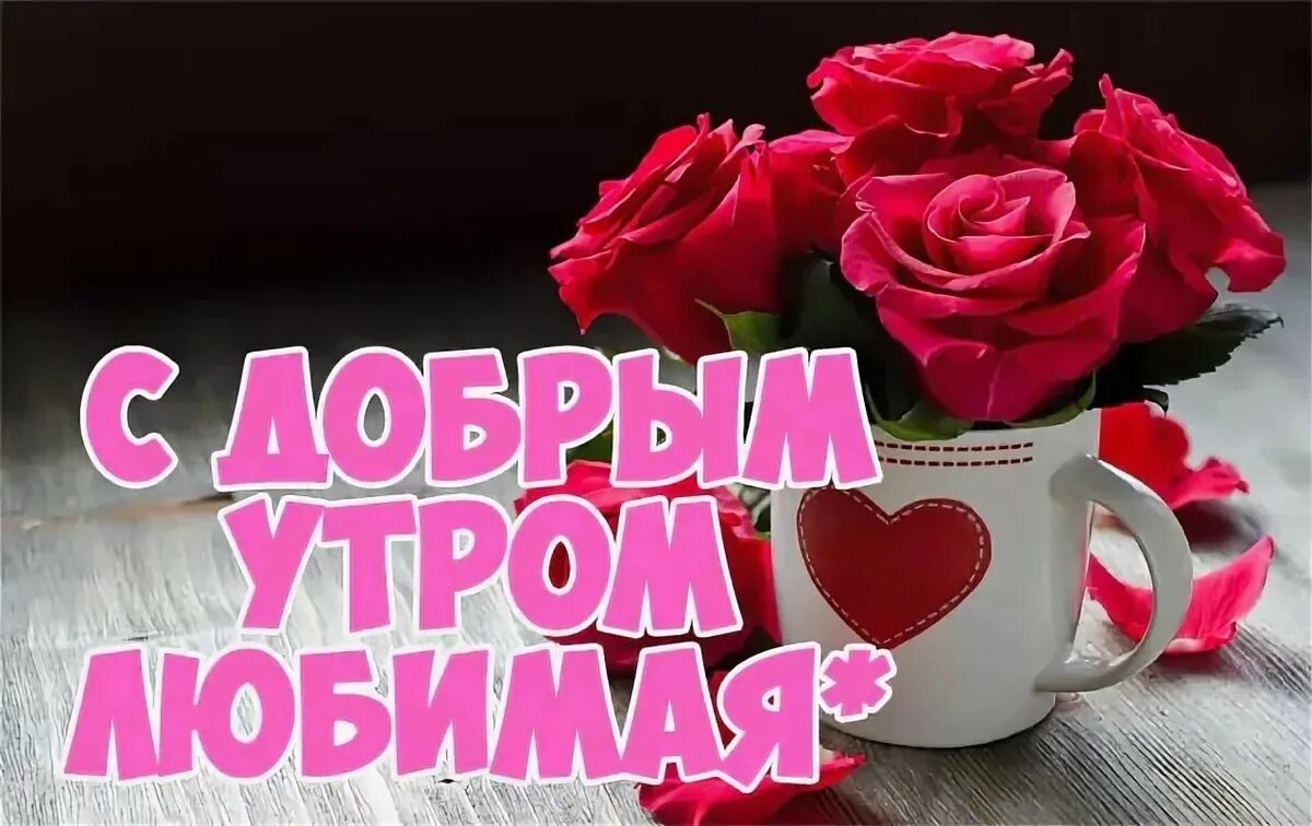 Картинки с добрым утром любимая красивые новые Доброго утра любовь моя девушке картинки: найдено 90 изображений