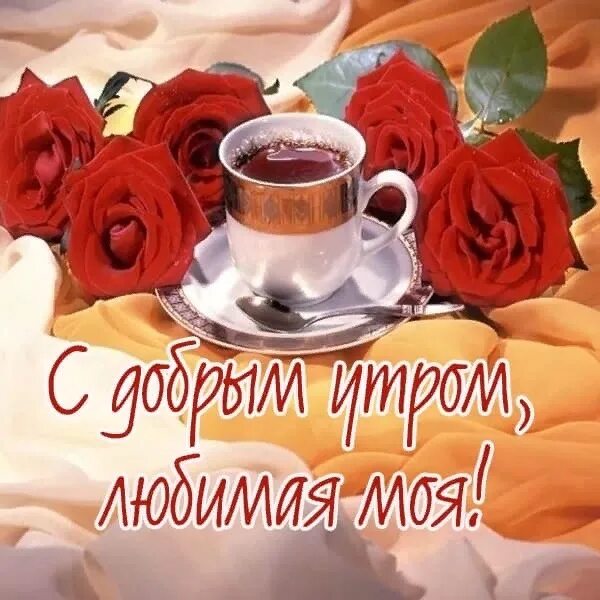 Картинки с добрым утром любимая красивые новые Доброе утро Любимая! С каждым днём...Я понимаю…Что Люблю Тебя! Всё больше! Музык