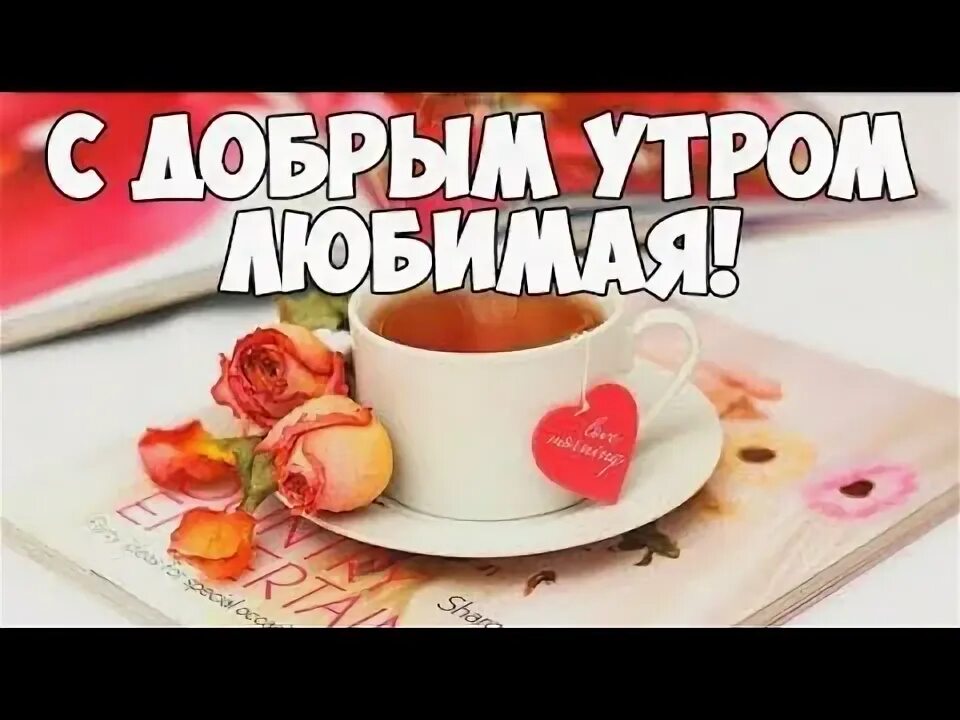 Картинки с добрым утром любимая красивые новые С Добрым Утром Любимая! Очень Нежное Красивое Поздравление! - YouTube