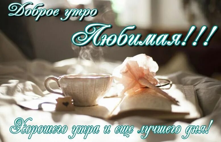 Картинки с добрым утром любимая красивые новые Доброе утро единственная