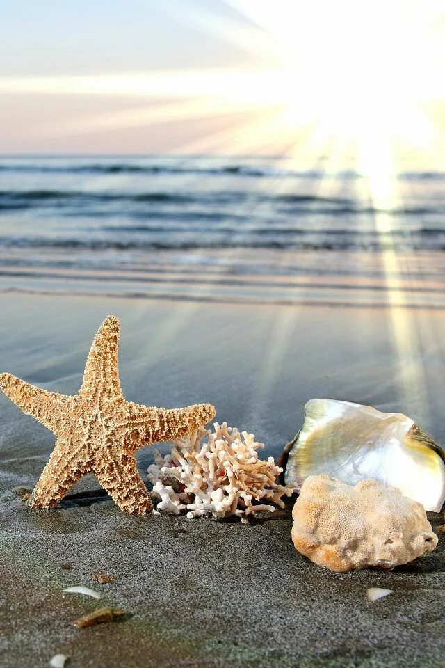 Картинки с добрым утром морская тематика красивые Pin by linda da Costa Mesquita on Everything. Facebook cover photos, Cover photo