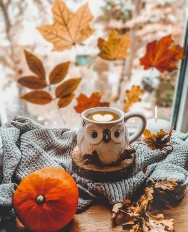 Картинки с добрым утром осенние позитив wake me up when september starts - autumnalsoul: cred Hello autumn, Autumn decor