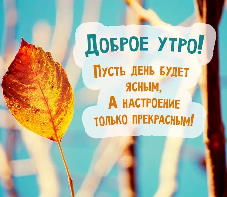 Картинки с добрым утром осенние позитивные женщине С добрым утром! Желаю солнечного дня и чудесного настроения - смотреть видео онл