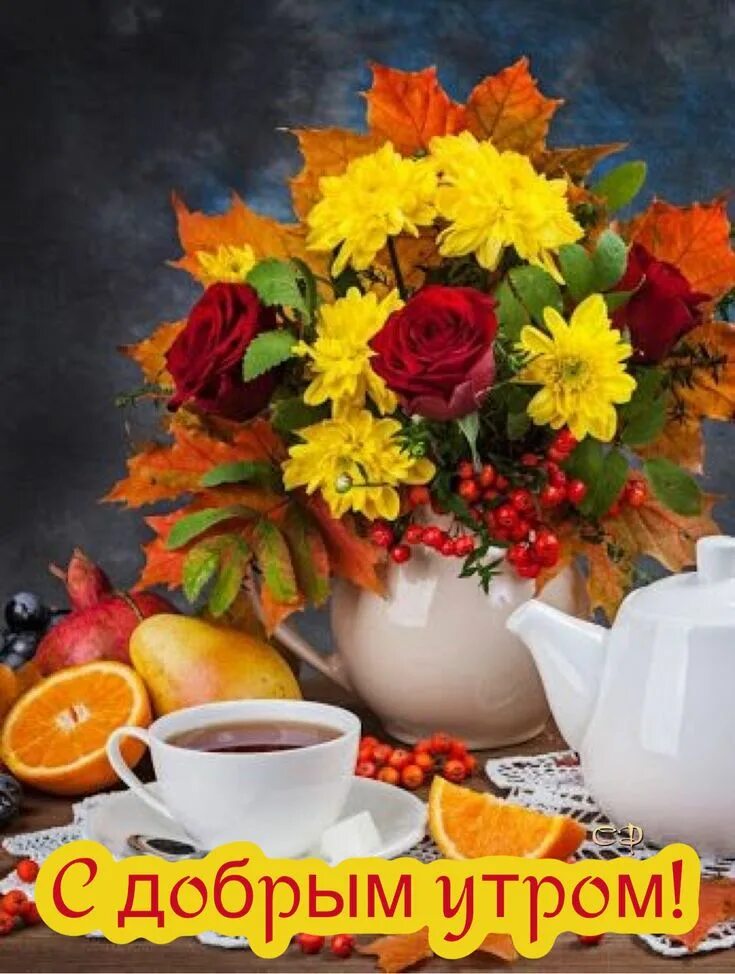 Картинки с добрым утром осенние позитивные женщине Pin on С добрым утром Harvest decorations, Coffee flower, Tea and books