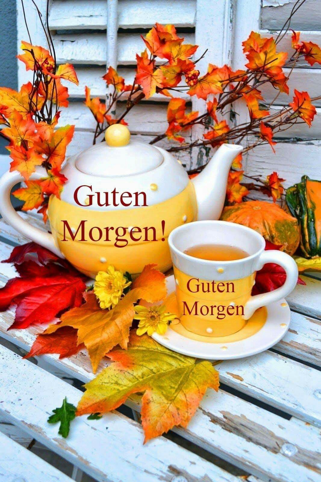 Картинки с добрым утром осенние позитивные женщине Pin von Lucy auf Guten Morgen Guten morgen gruss, Guten morgen, Guten morgen sch