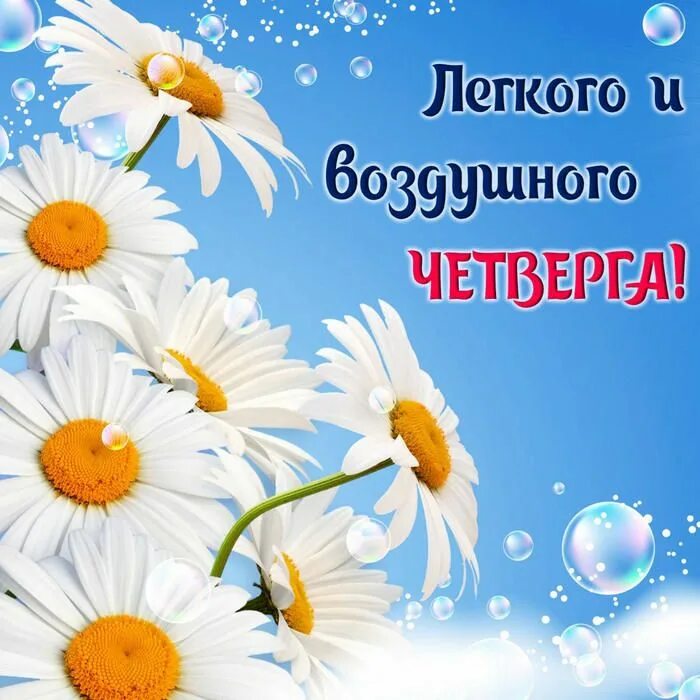 Картинки с добрым утром позитивные четверга прикольные Pin on Утро четверга