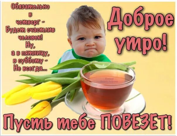 Картинки с добрым утром позитивные четверга прикольные Картинки доброе утро четверга