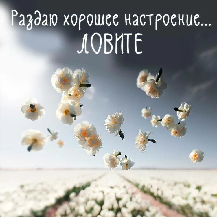 Картинки с добрым утром позитивные веселые философские Post #1298 - Женские открытки (E4n6Kmds2tw0ODJi)