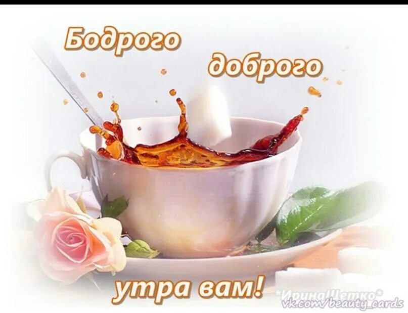 Картинки с добрым утром про добро Картинка 31 января день утро доброе - найдено 75 картинок