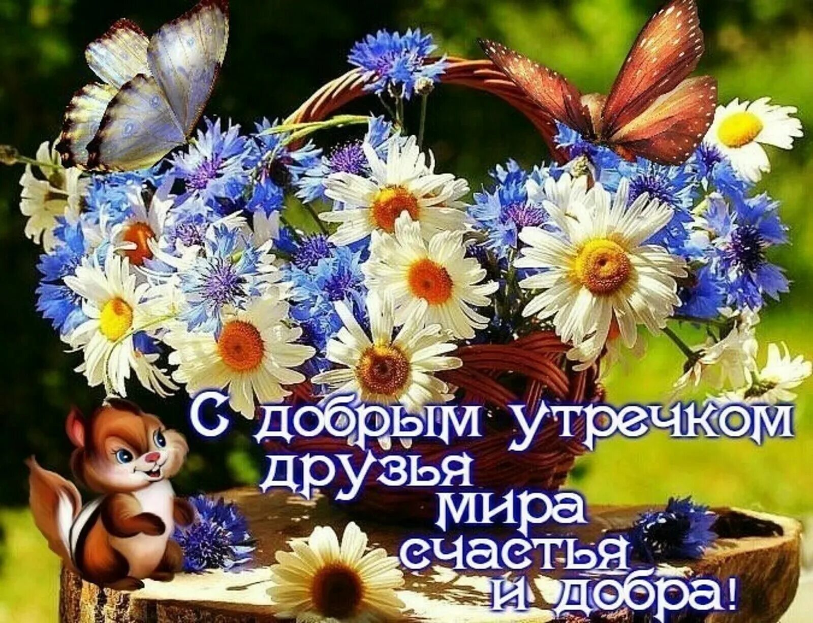 Картинки с добрым утром про добро Доброе утро февраля с пожеланиями счастья: найдено 80 изображений