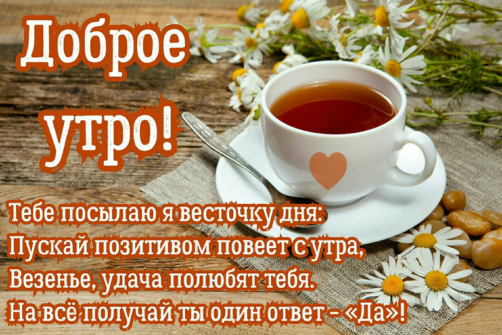 Картинки с добрым утром с хорошими словами Pin on Доброе утро Glassware, Tableware