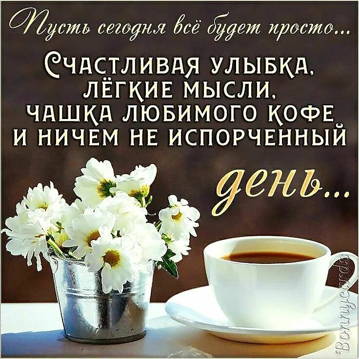Картинки с добрым утром с хорошими словами Pin on Доброе утро и день Clever quotes, Good morning, Beautiful morning