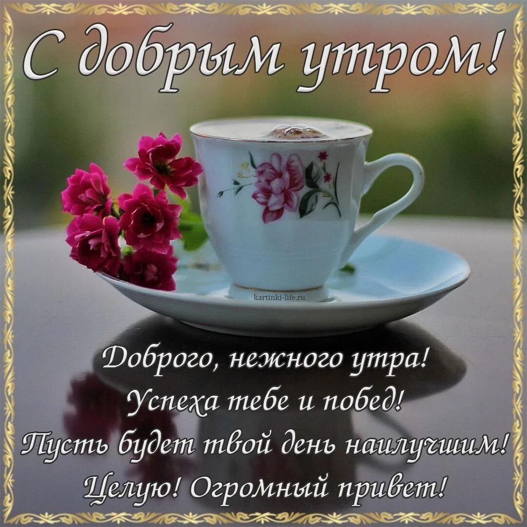 Картинки с добрым утром с хорошими словами С добрым утром, мои Сладули! #утро@gross_writer 2023 Кария Гросс. Все книги авто