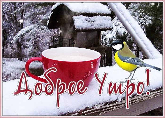 Картинки с добрым утром зимние HAPPY MORNING FRIENDS ! Start your life in the morning Certainly good, With good