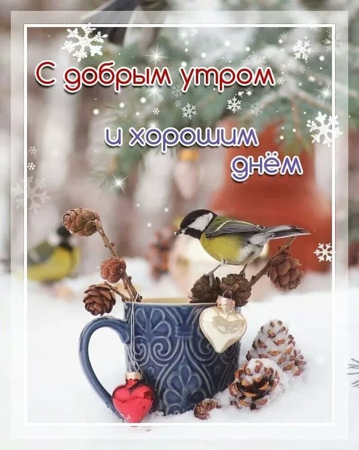 Картинки с добрым утром зимние Пин от пользователя Болдырева Марина на доске Доброе утро Доброе утро, Открытки,