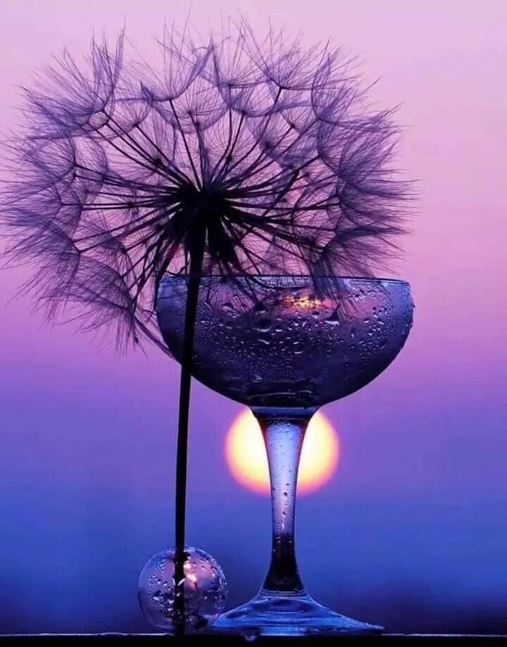 Картинки с добрым вечером красивые необычные оригинальные Pin by Rani on Blue Art photography, Color of life, Wine glass