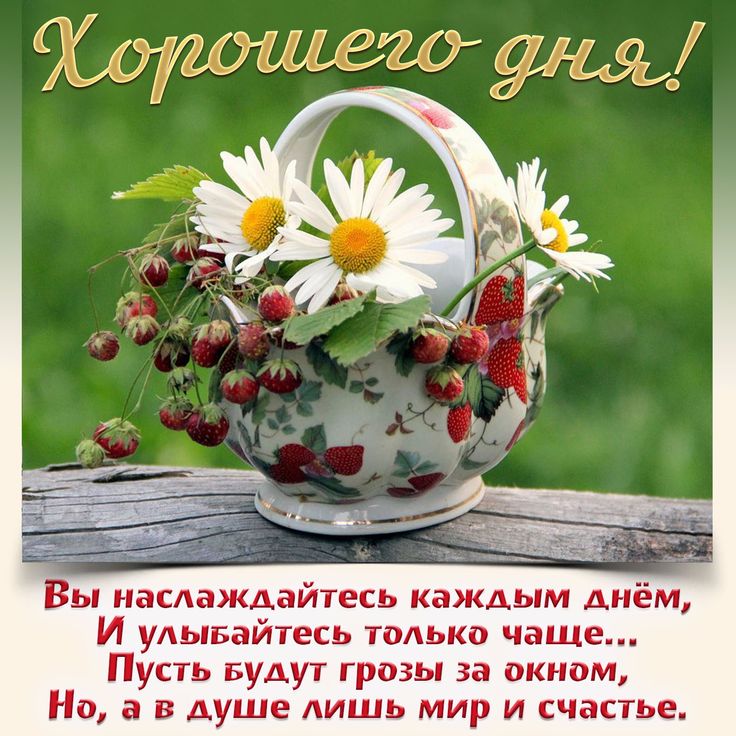 Картинки с добрыми пожеланиями Пин на доске Добрые пожелания Ромашки, Открытки, Мужские дни рождения