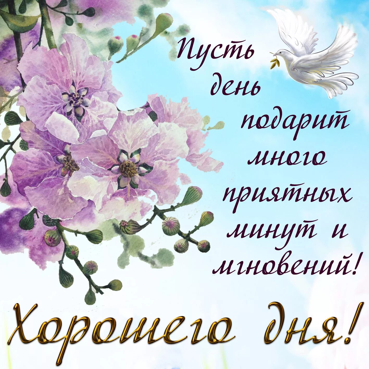 Картинки с добрыми пожеланиями Открытка хорошего дня с голубем и цветами