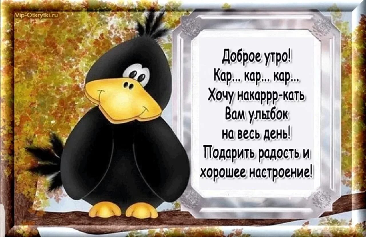 Картинки с добрыми пожеланиями мужчине прикольные Открытка с добрыми пожеланиями с юмором: найдено 76 изображений