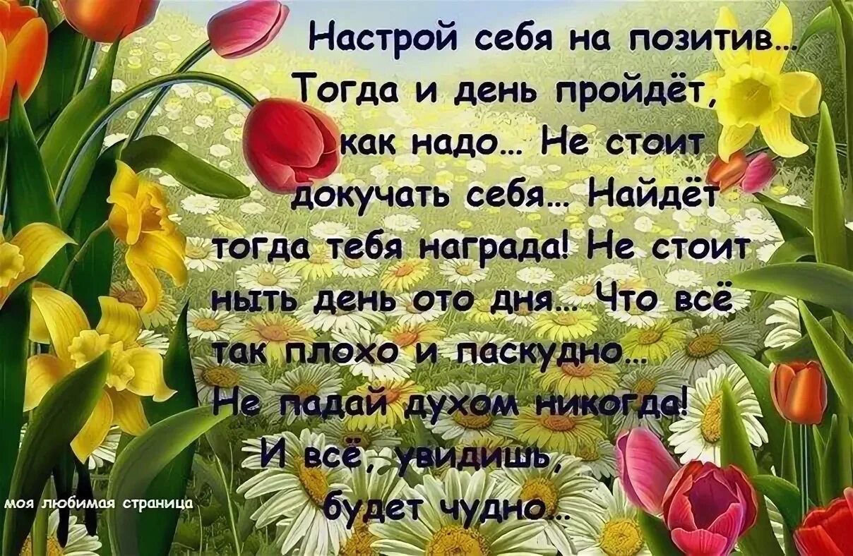 Картинки с добрыми пожеланиями про жизнь Кто излучает позитив - стихи Чуйко читать и скачать стихи онлайн