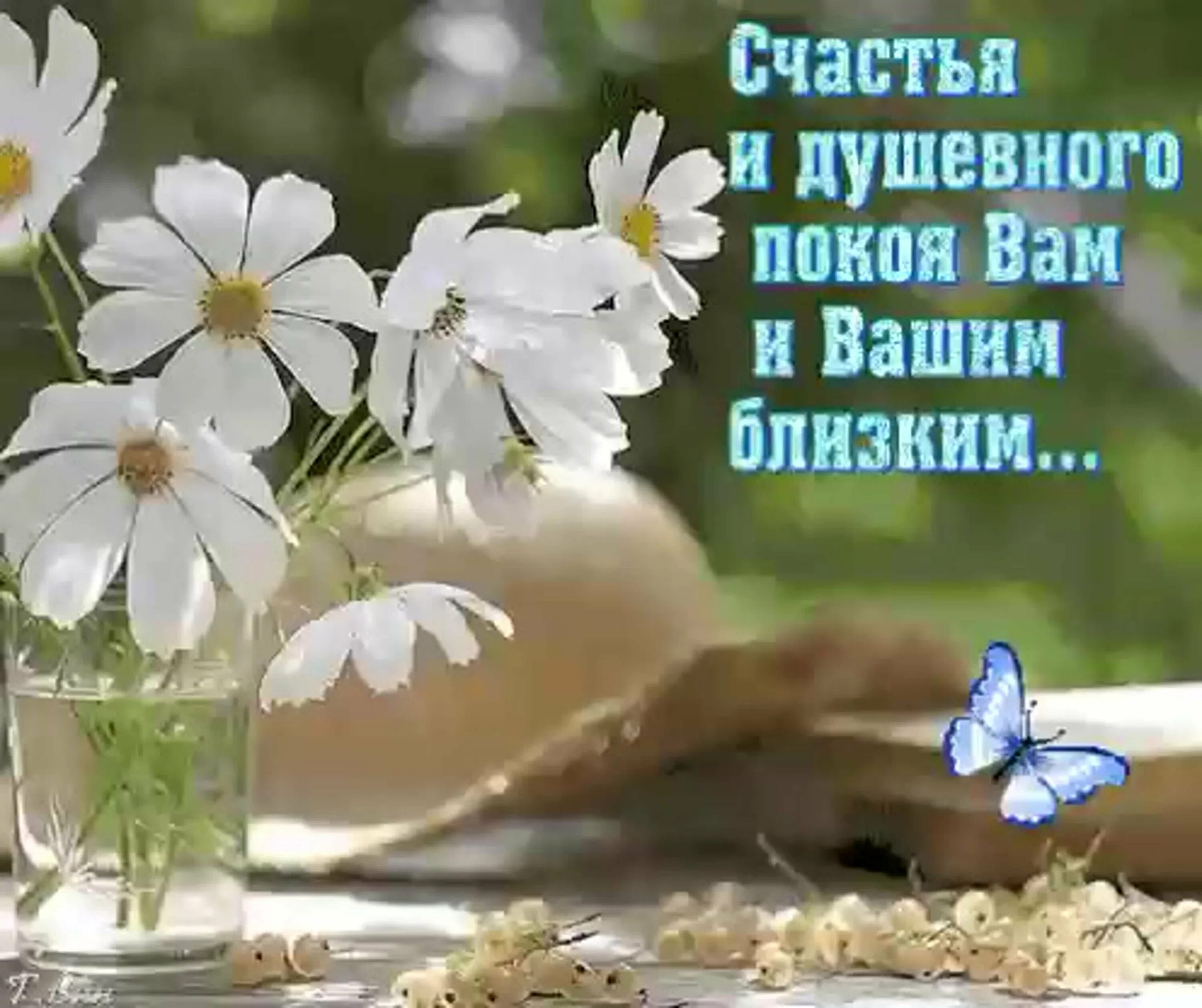 Картинки с добрыми пожеланиями родным День пожелания счастья другому картинки - 67 фото