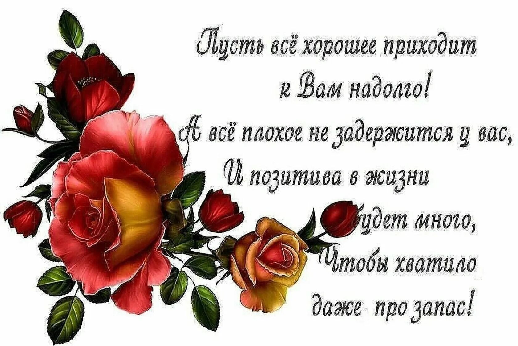 Картинки с добрыми пожеланиями родным Поздравить друзей со
