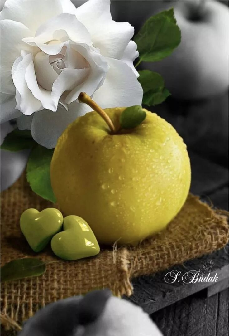 Картинки с фруктами с добрыми пожеланиями Pin on Tiempo de descanso Fruit picture, Fruit trees, Fruit