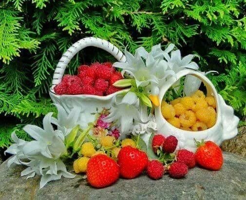 Картинки с фруктами с добрыми пожеланиями 2018-08-26_09-57-44 Summer berries, Berries, Fruit