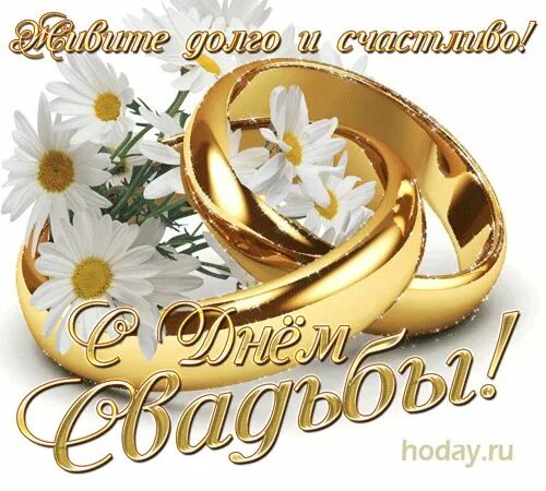 Картинки с годовщиной красивые с пожеланиями Открытка! Свадебная картинка со свадьбой! Любовь настигла вас, окружила и внесла