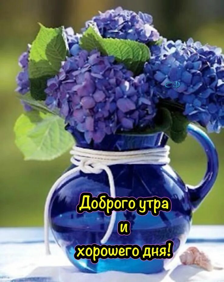 Картинки с гортензиями с добрым пожеланиями Pin on Доброе утро Flower arrangements, Beautiful flowers, Blue hydrangea