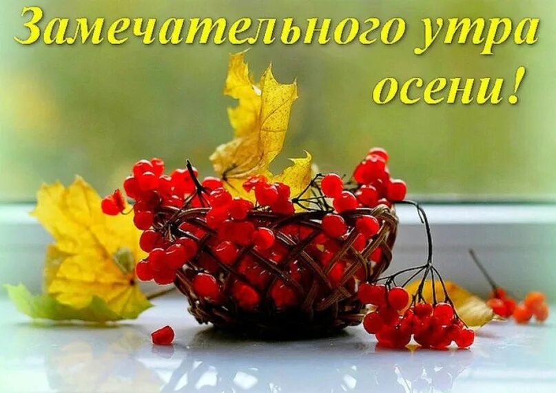 Картинки с хорошим осенним утром днем новые Доброе утро!!! Радуйтесь каждой минуте, ведь они делают нас счастливыми. Яркого 