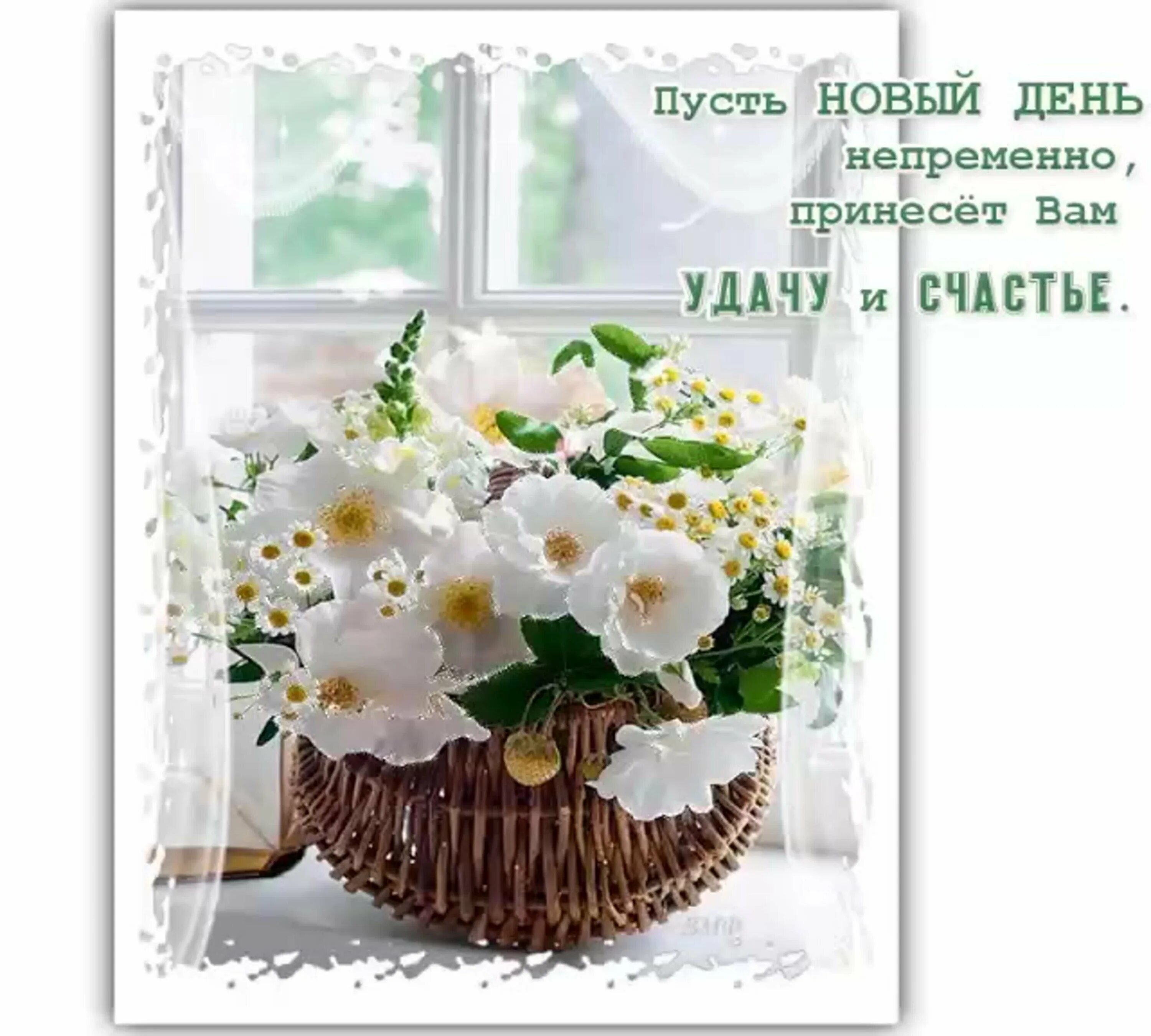 Картинки с красивыми воскресными пожеланиями Доброе утро воскресенье, красивые весенние картинки Zamanilka