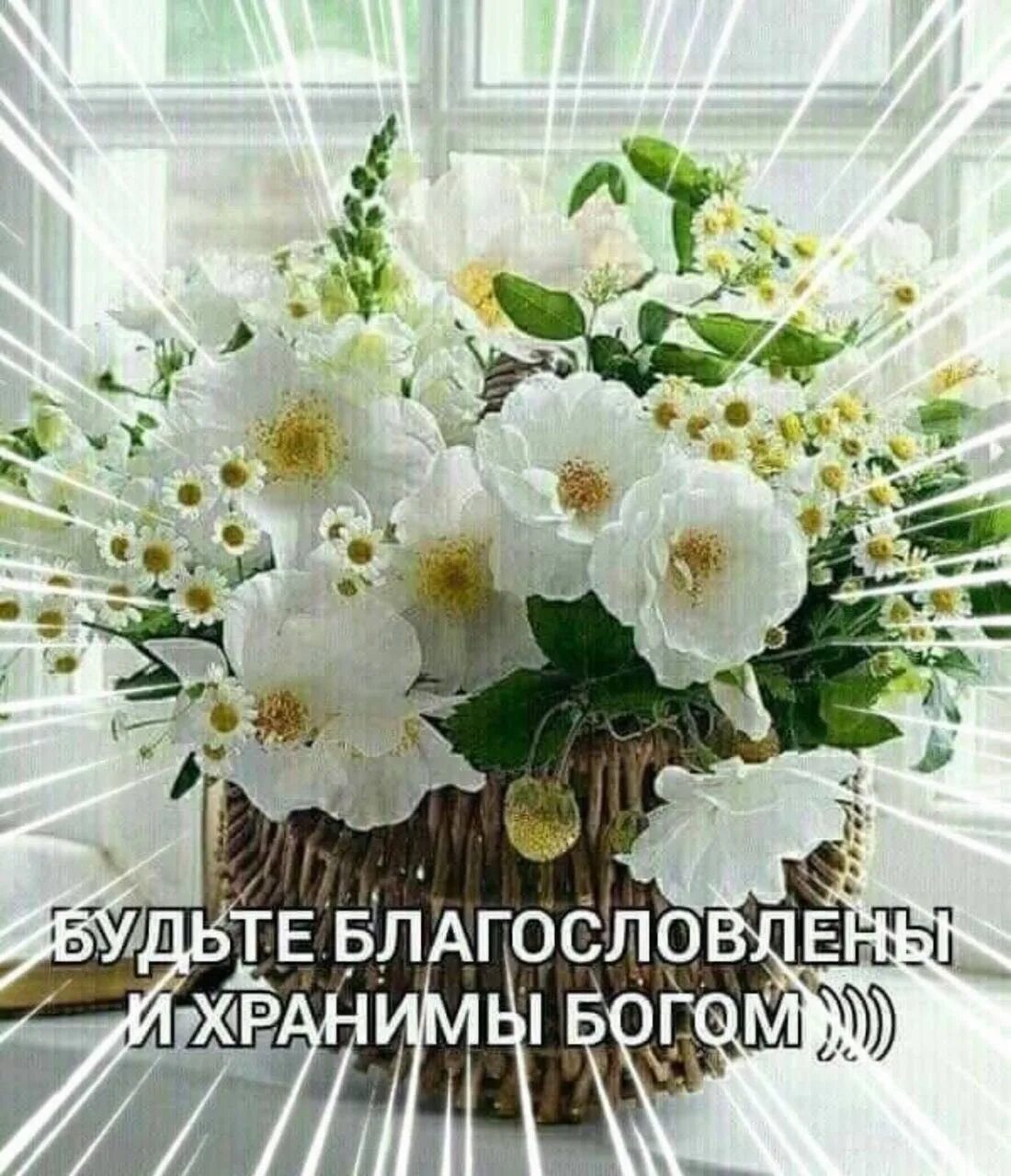 Картинки с красивыми воскресными пожеланиями Pin by Геннадий Петрович on Благословения Happy birthday wishes, Birthday wishes