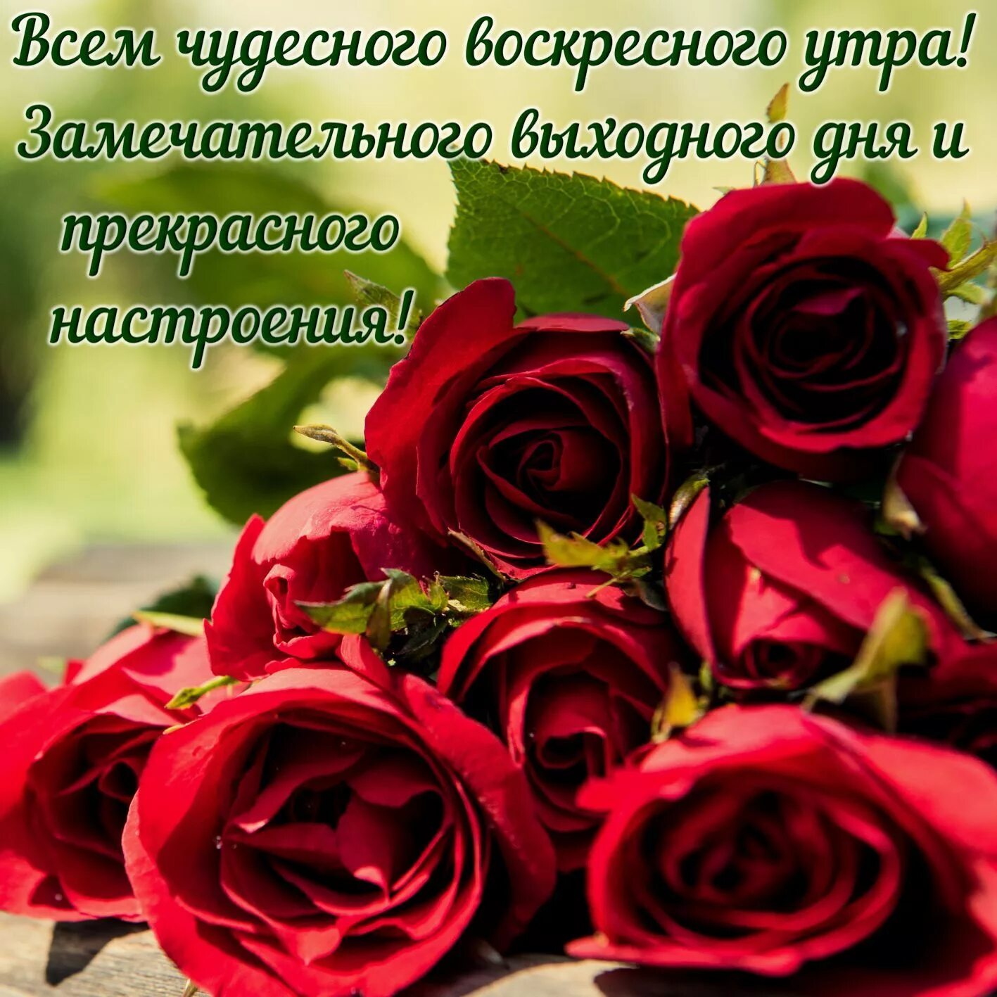 Картинки с красивыми воскресными пожеланиями Картинки с пожеланием чудесного утра (47 фото) Картинки, Утренние сообщения, Доб