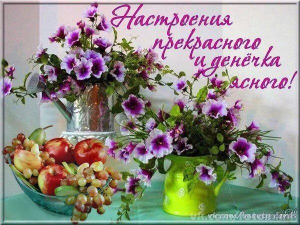 Картинки с красивыми воскресными пожеланиями Да уж, не патриций... - Брызги юмора., пользователь Сергей Белов Группы Мой Мир