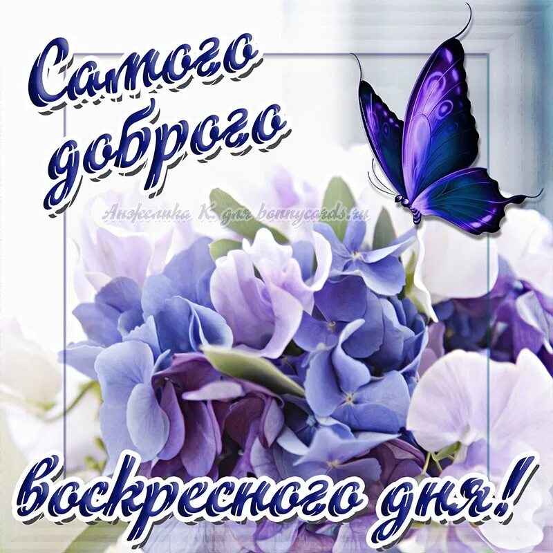 Картинки с красивыми воскресными пожеланиями #Открытки - https://vk.com/app6777371 2023 Татьяна Тимачёва ВКонтакте