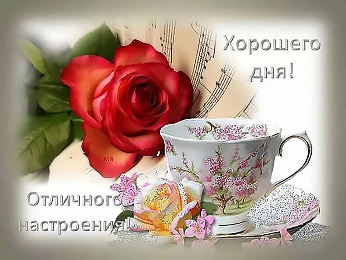 Картинки с пожеланием доброго дня подруге Хорошего Дня и Отличного Настроения! Самое Красивое Пожелание Удачного Дня! Откр