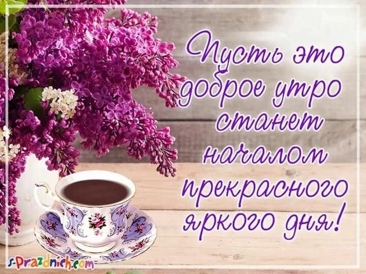 Картинки с пожеланием доброго утра 2024 Pin on Пожелания с добрым утром Glassware, Mugs, Tableware